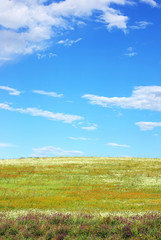 Fototapeta premium Color field background.