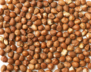 hazelnuts background