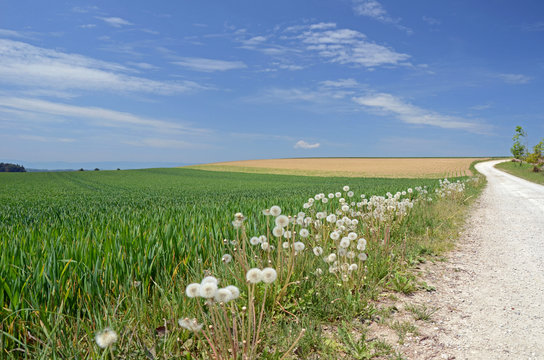 Feldweg
