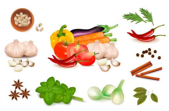 Set with spices and vegetables. Vector illustration.