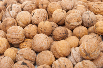 Walnut