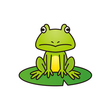 蓮の葉に座る蛙