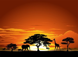 Fototapeta na wymiar Savana Tramonto e animali-Savannah Sunset i zwierzęta-2-Vector