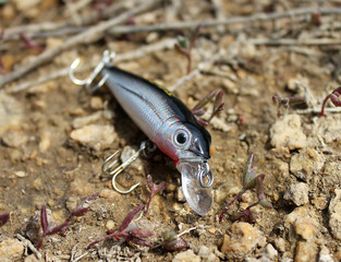 beautiful fishing lure