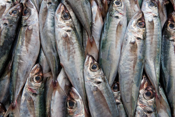 background with fresh fishes