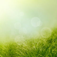 Fototapeta na wymiar Tło wiosna trawą
