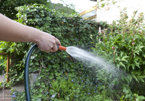 "Blumen gießen mit einem Wasserschlauch" Stockfotos und lizenzfreie