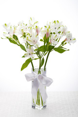 Alstroemeria in transparent vase