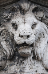 roma antica, statua di leone