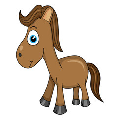 cute horse