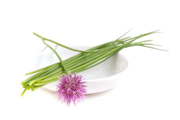 Chives