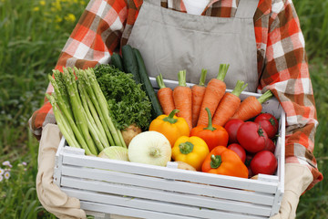 野菜