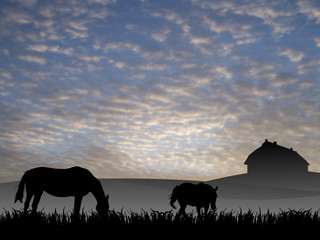 two horses on pasture at sunset