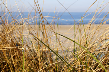 Obraz premium Blick auf die Ostsee und den Strand
