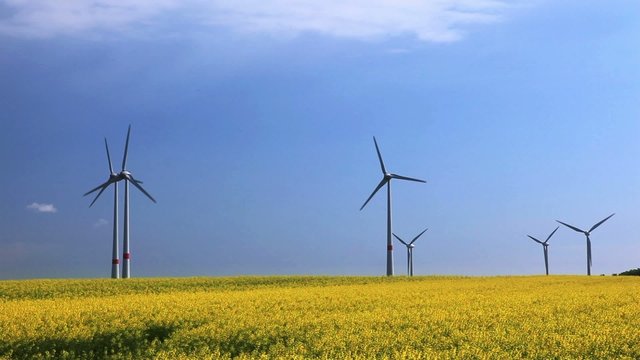 Windpark 04