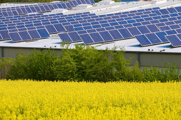 Alternative Energy