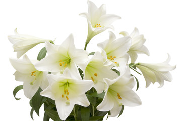 Lily bouquet