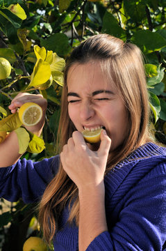 Girl eating a lemon from the tree.