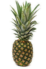 Fototapeta premium Pineapple