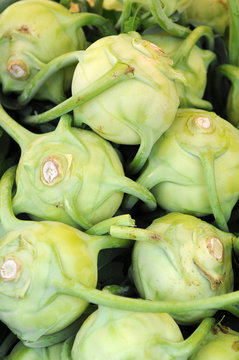 Kohlrabi aus biologischem Anbau