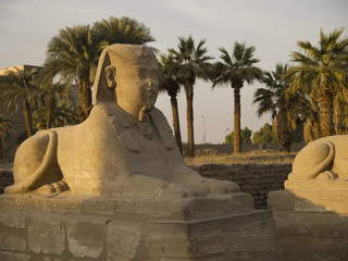 Avenue of Sphinxes in Luxor Egypt
