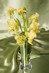 beautiful spring flowers in a vase