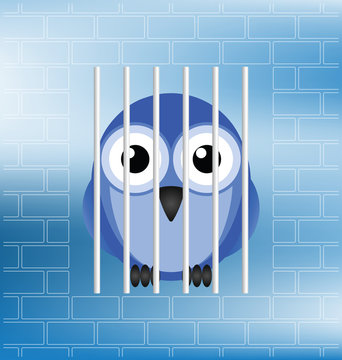 Concept of a jailbird behind bars in prison