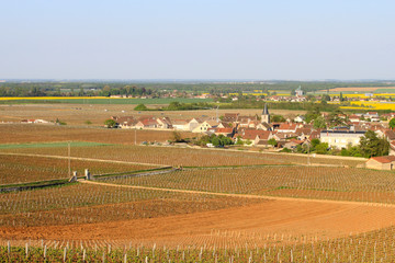 Fototapeta na wymiar La Bourgogne hivernale