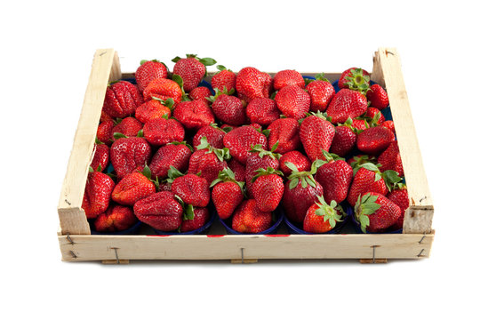 Cassetta du fragole