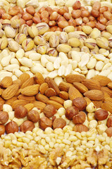 various nuts