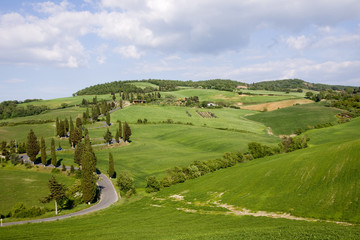 Naklejka premium tuscany