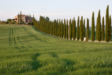 tuscany