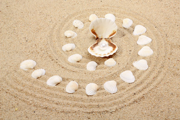Fototapeta na wymiar pearl on the seashell . The exotic sea shell