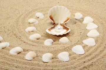 Fototapeta na wymiar pearl on the seashell