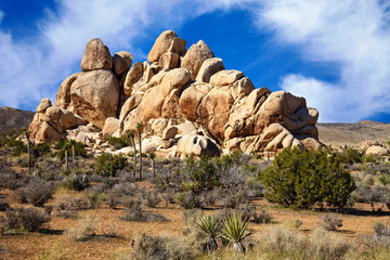 Fototapeta na wymiar Formacje skalne na pustyni Mojave