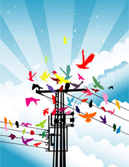 birds and city vector