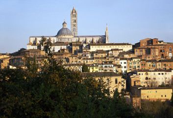 Fototapeta premium Siena - Italy