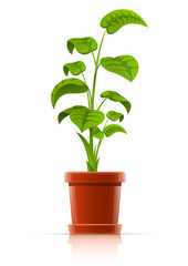 plant in flowerpot vector