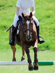 saut à cheval © NJ