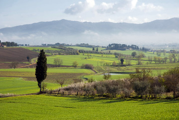 Fototapeta na wymiar Tuscany landscape