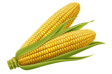 set of fresh corn
