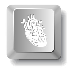Heart. Vector computer key.