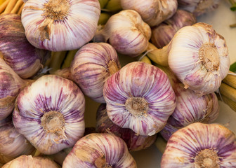 Fresh garlic in the market