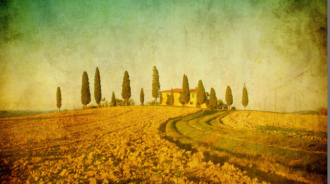 vintage tuscan landscape