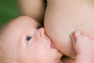 newborn