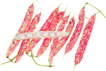 Pink Bean Pods With Open Pod Showing The Seeds