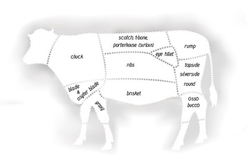 beef meat diagram