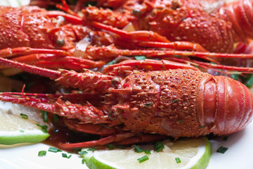 langoustes cuites