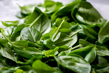 Basil leaves