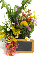Schöne Gartenblumen